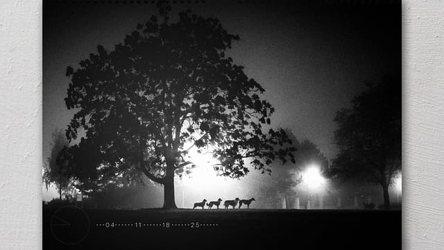 Lukáš Skalický - kalendáře