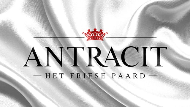 Antracit - The Friesian Horse