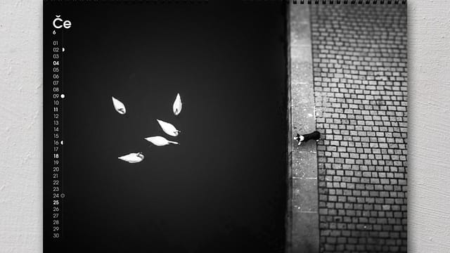 Lukáš Skalický - kalendář 2017